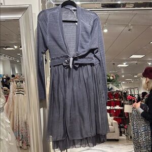 Tempo Paris Shimmering Gray Long Sleeve Dress